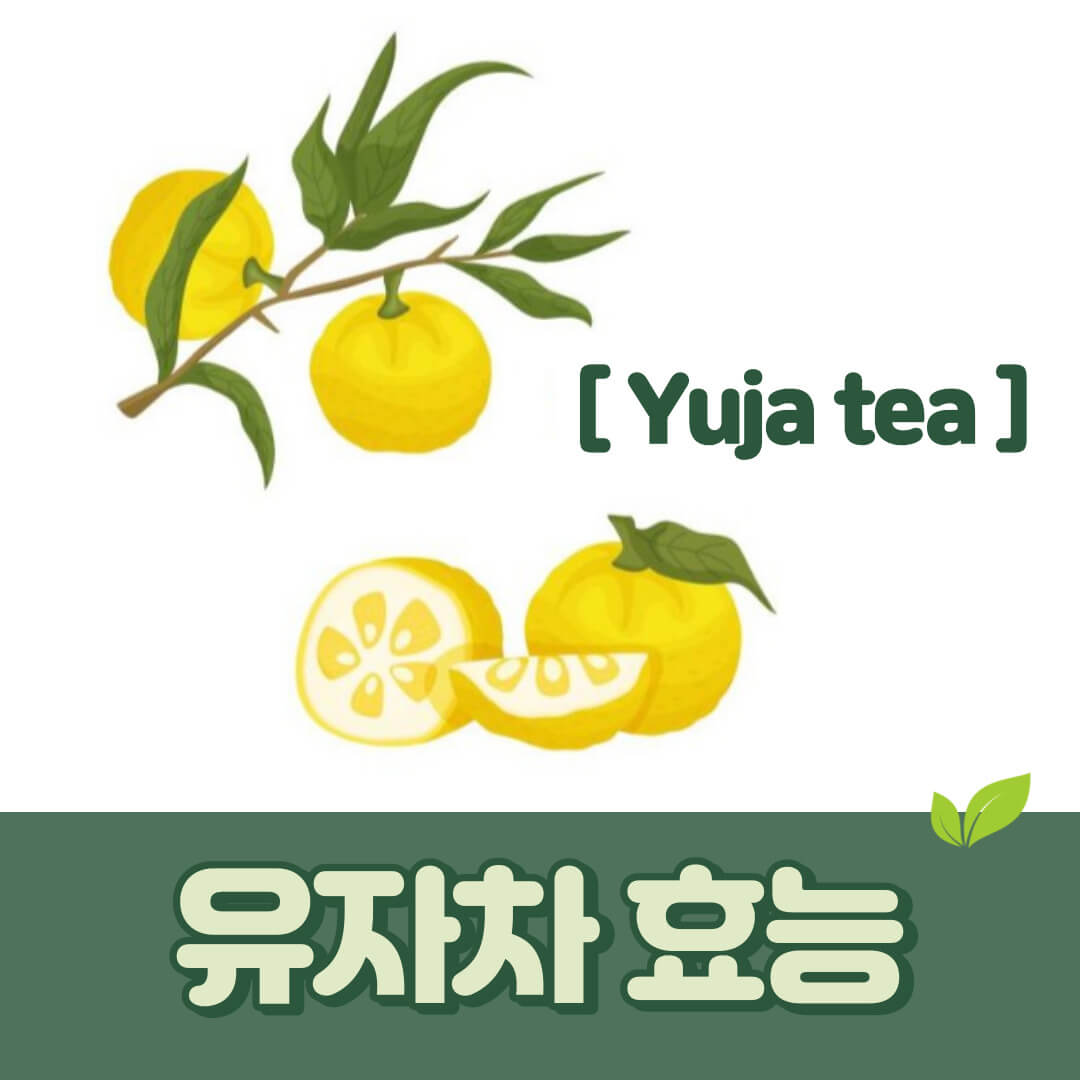 유자차 | 효능 영양성분 부작용 활용