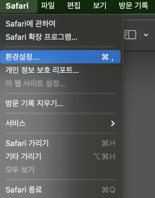 Safari 환경설정