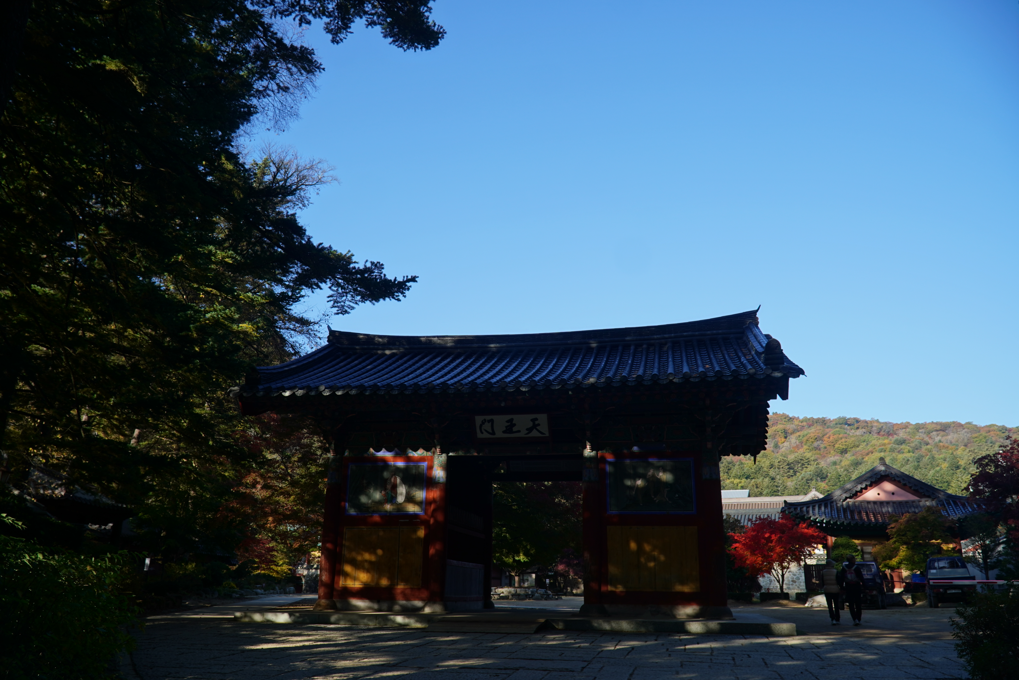 오대산 선재길 단풍, 등산코스, 월정사 상원사 버스, 주차