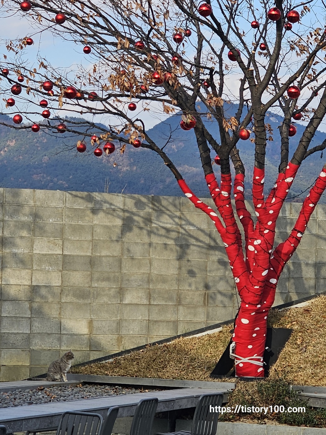 슬로우벗베럴 