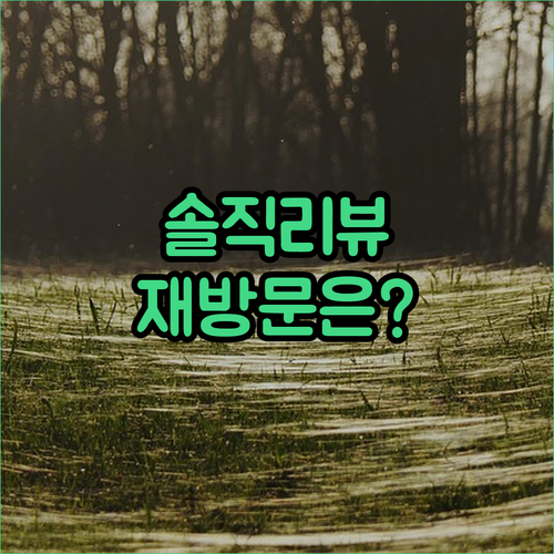 호텔 Mezi 솔직 리뷰, 재방문 의