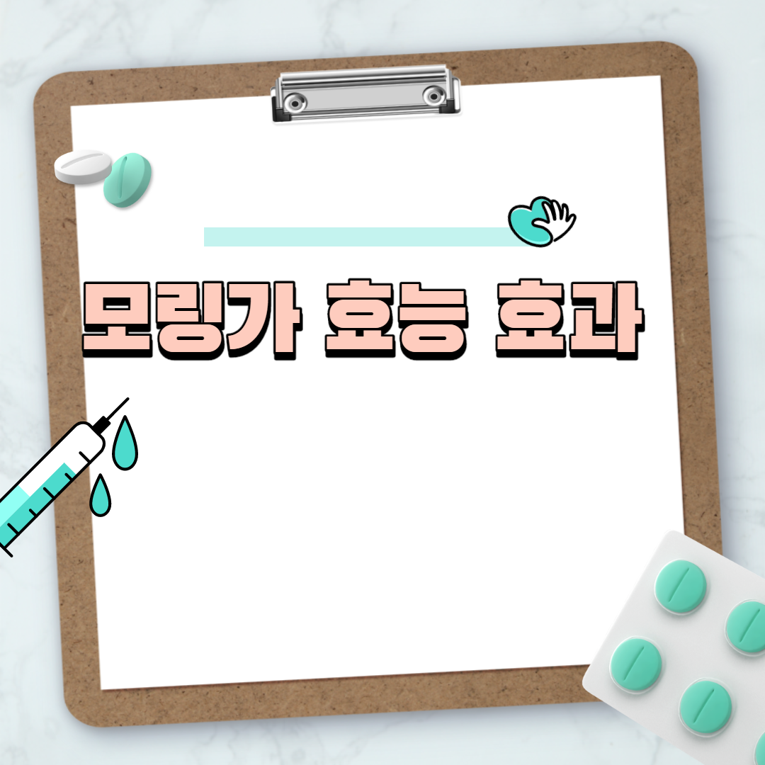  모링가 효능 효과