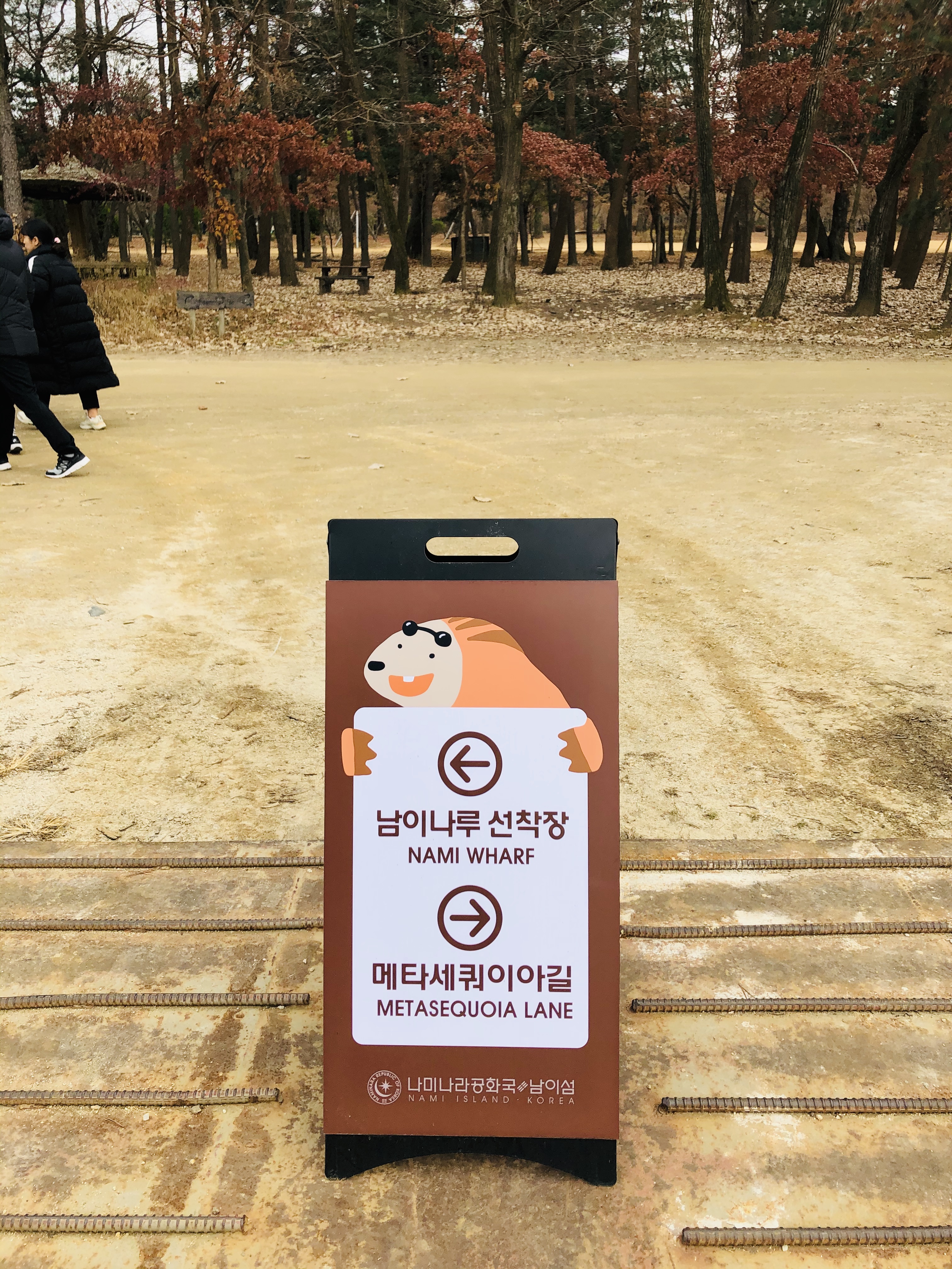  남이섬 데이트 코스