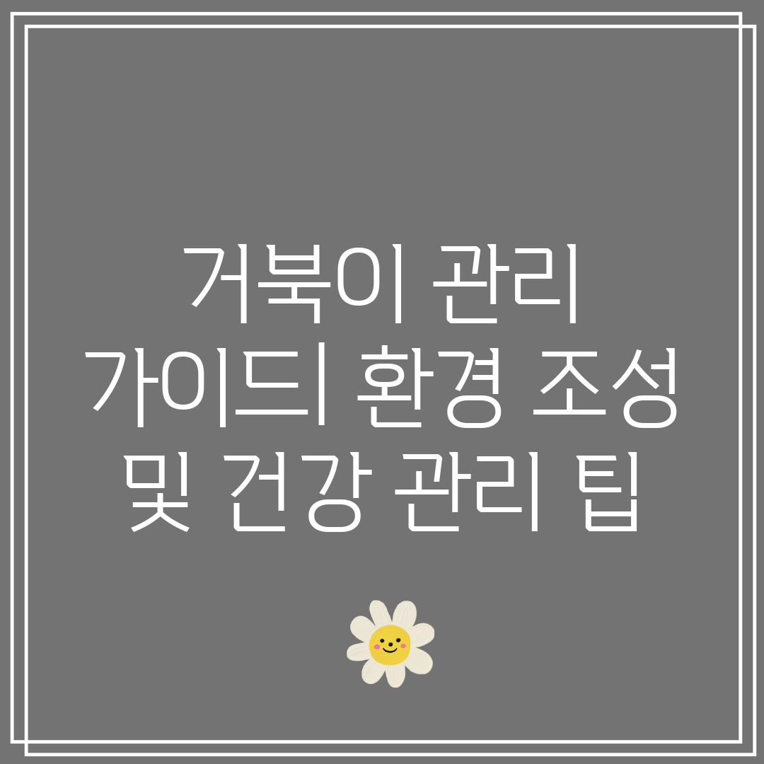 거북이 관리 가이드 환경 조성 및 건강 관리 팁