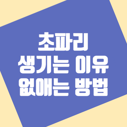  초파리 생기는 이유 초파리 없애는 방법