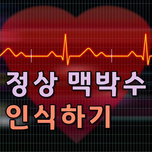  성인 정상 맥박수 운동 건강과 측정방법 인식하기