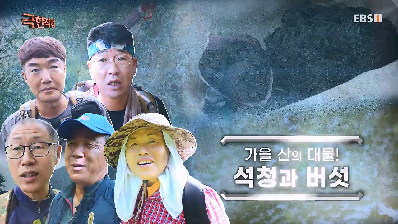 TV - 전 국민의 평생학교 EBS가을 산의 대물! 석청과 버섯.mp4_20230916_171648.722.jpg