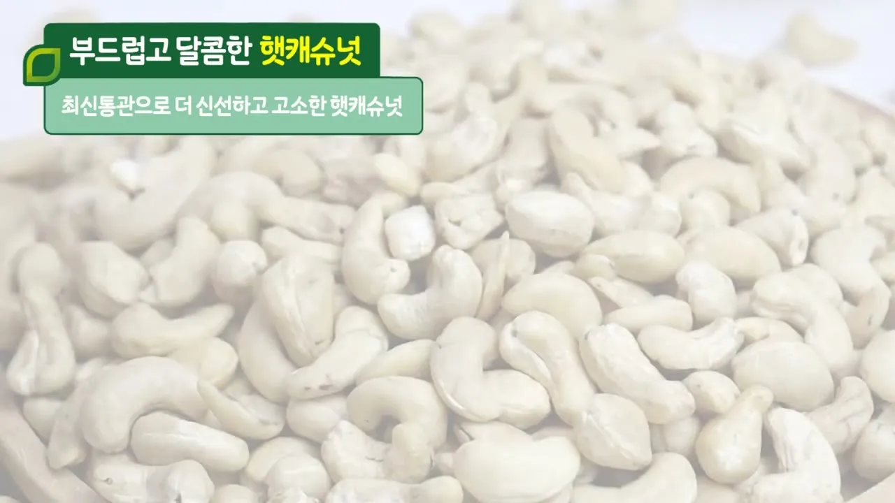 캐슈넛 효능 칼로리 섭취량_6