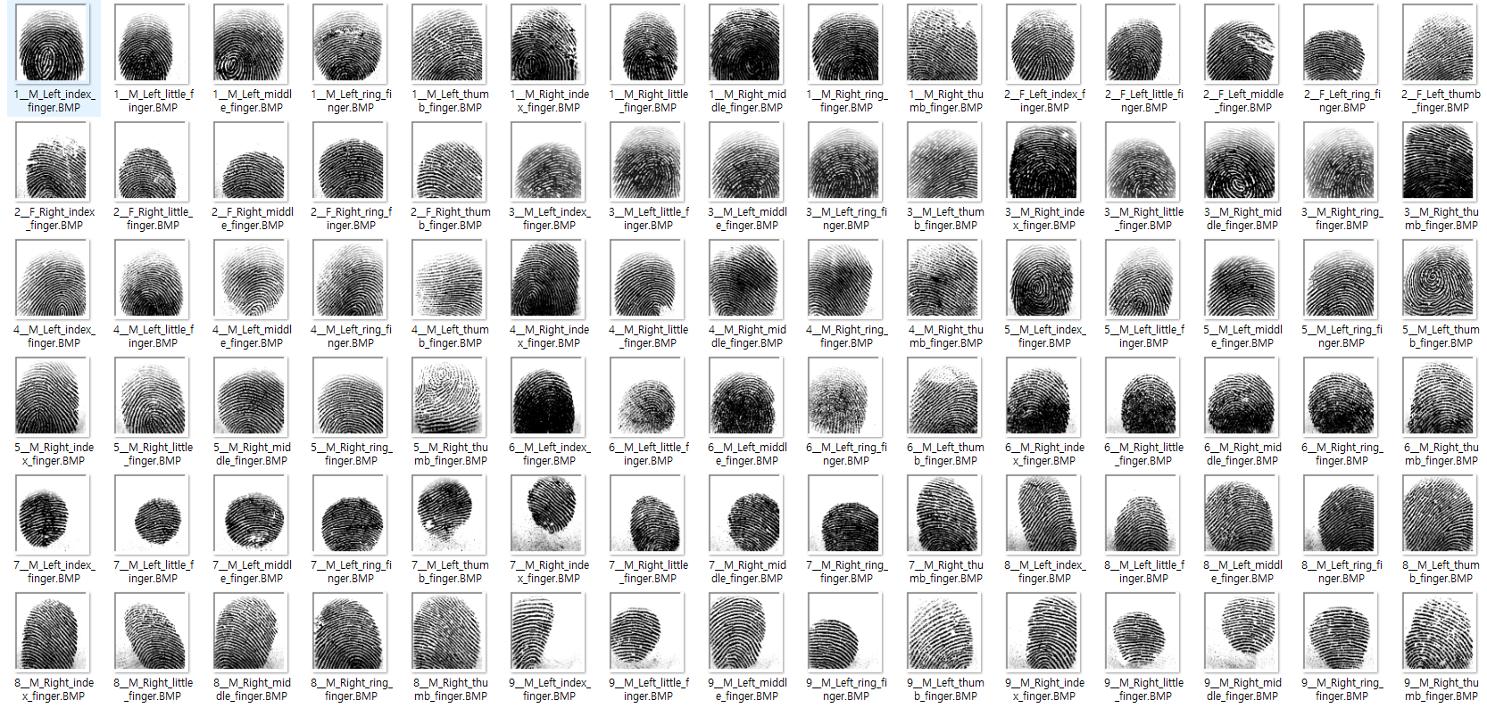  지문 (fingerprint) 일치 알고리즘 구현하기 (Python)
