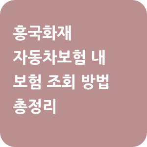 흥국화재 자동차보험 내 보험 조회 방법 총정리