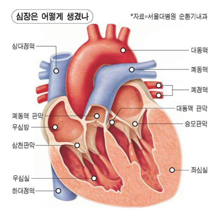 협심증 초기증상 협심증 초기증상체크하고, 2