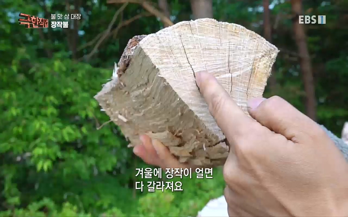 TV - 교육의 중심 EBS불 맛 삼 대장!.mp4_20220922_205225.186.jpg