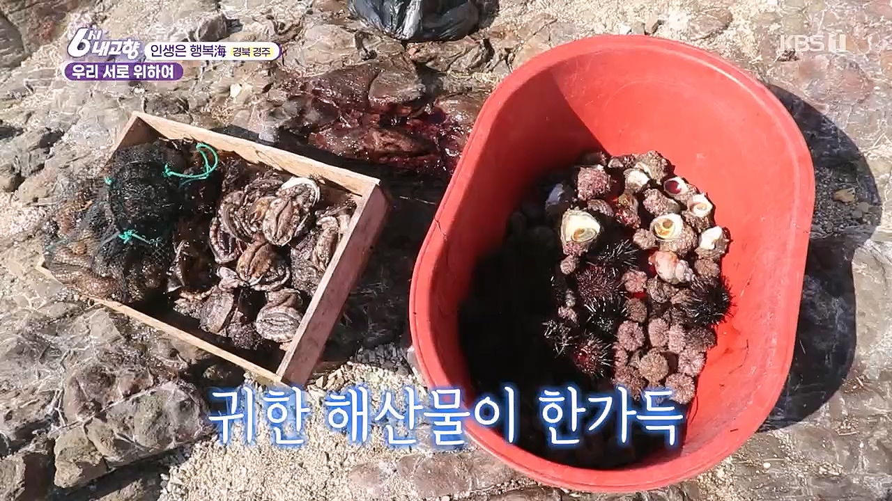 6시 내고향.E7744.230314p.H264-F1RST.mp4_20230314_175017.477.jpg