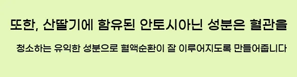  또한, 산딸기에 함유된 안토시아닌 성분은 혈관을 청소하는 유익한 성분으로 혈액순환이 잘 이루어지도록 만들어줍니다