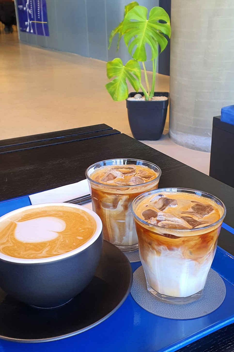 타먹는 다이어트 괜찮네 식사대용 콤부차 물에 5