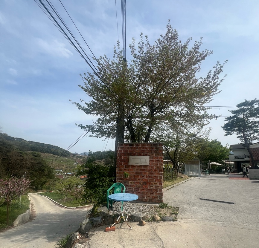 소우주 이미지