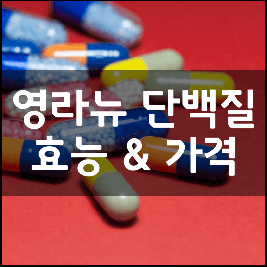 영라뉴-쉐이크-단백질-성분-효능-가격