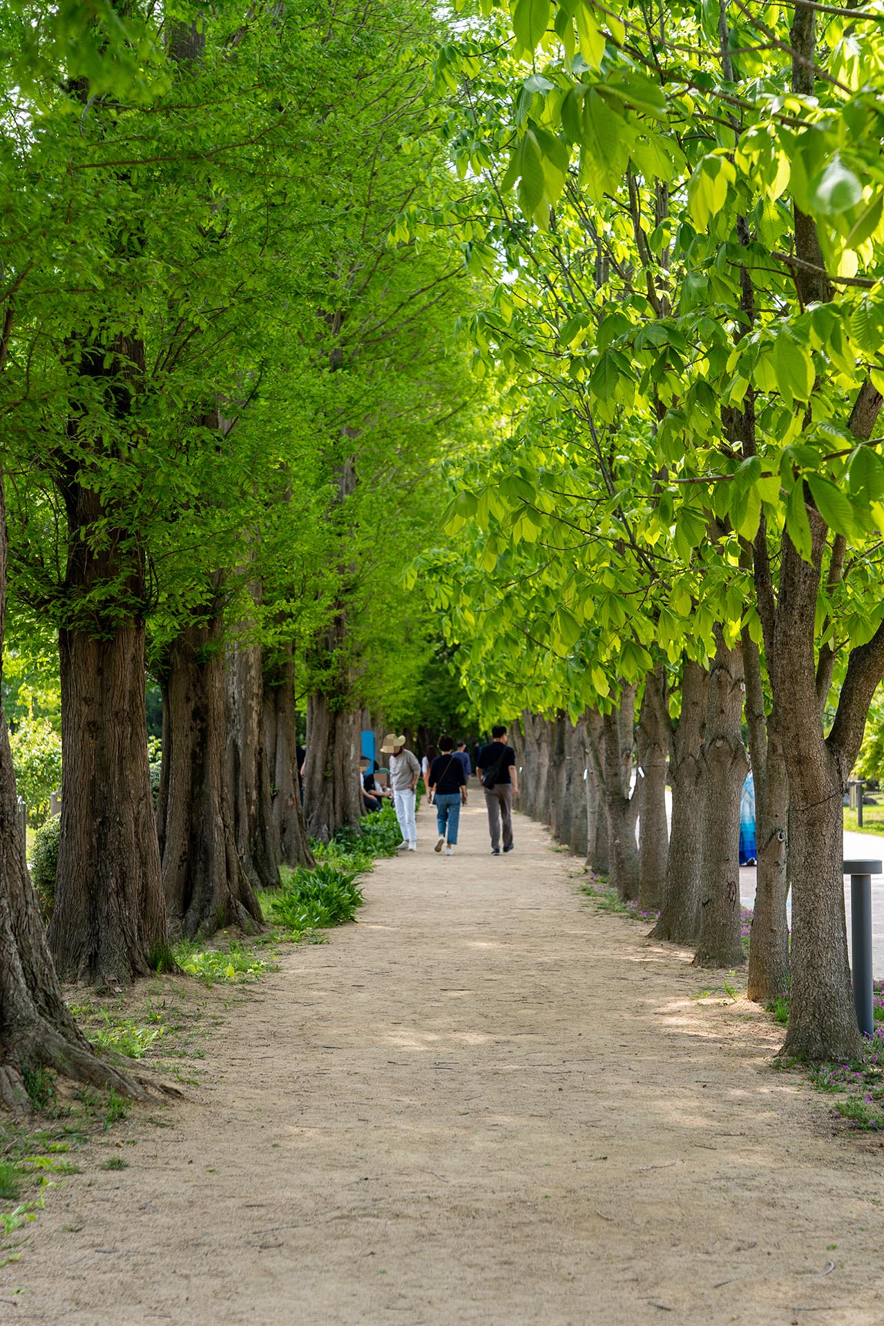 경상북도 산림환경연구원