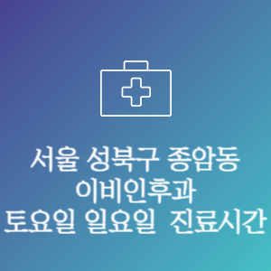서울 성북구 종암동 이비인후과 주말 토요일 일요일 문여는 병원 진료시간