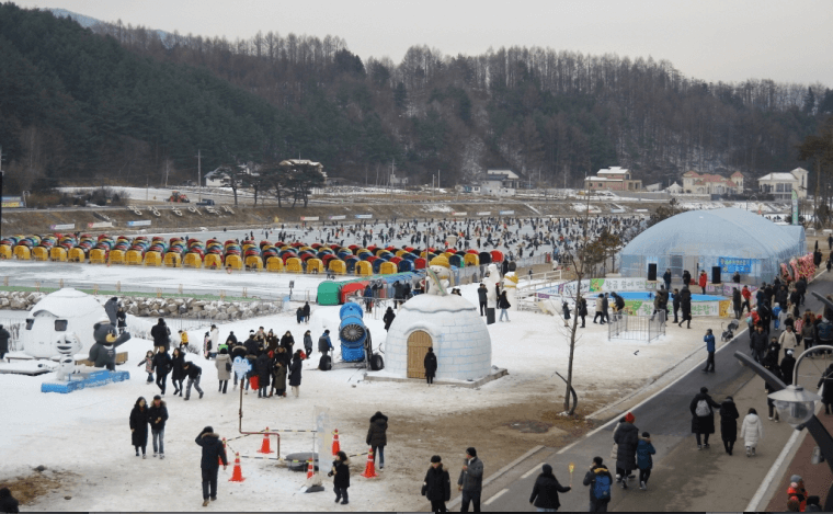 평창송어축제 비용 준비물 주차장 텐트낚시 예약방법