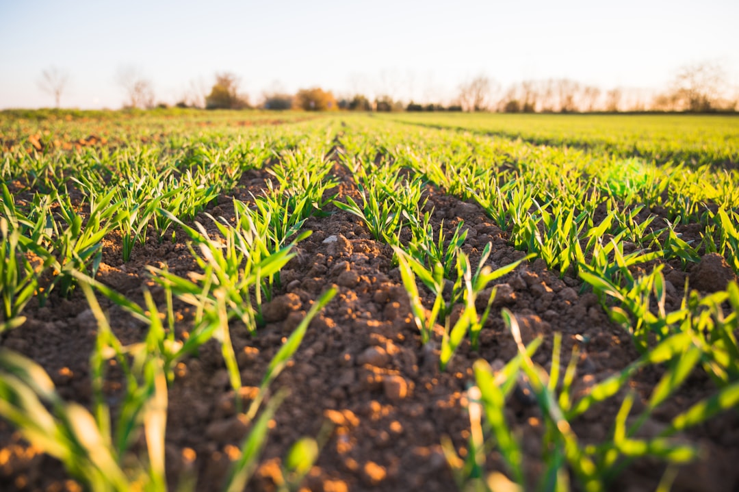 Agriculture.