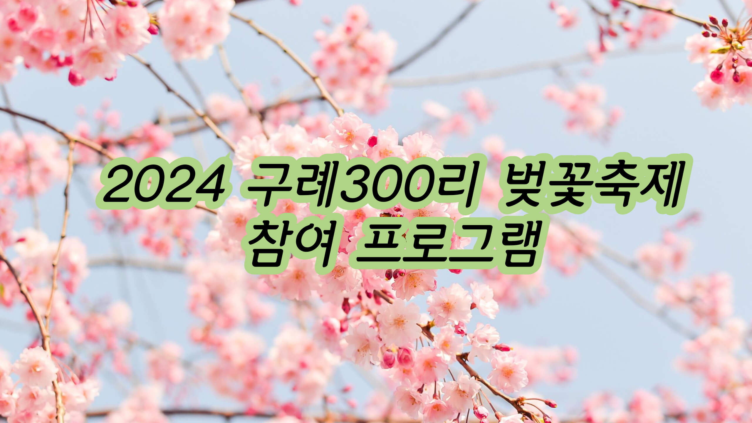 2024 구례 300리 벚꽃축제 참여 프로그램