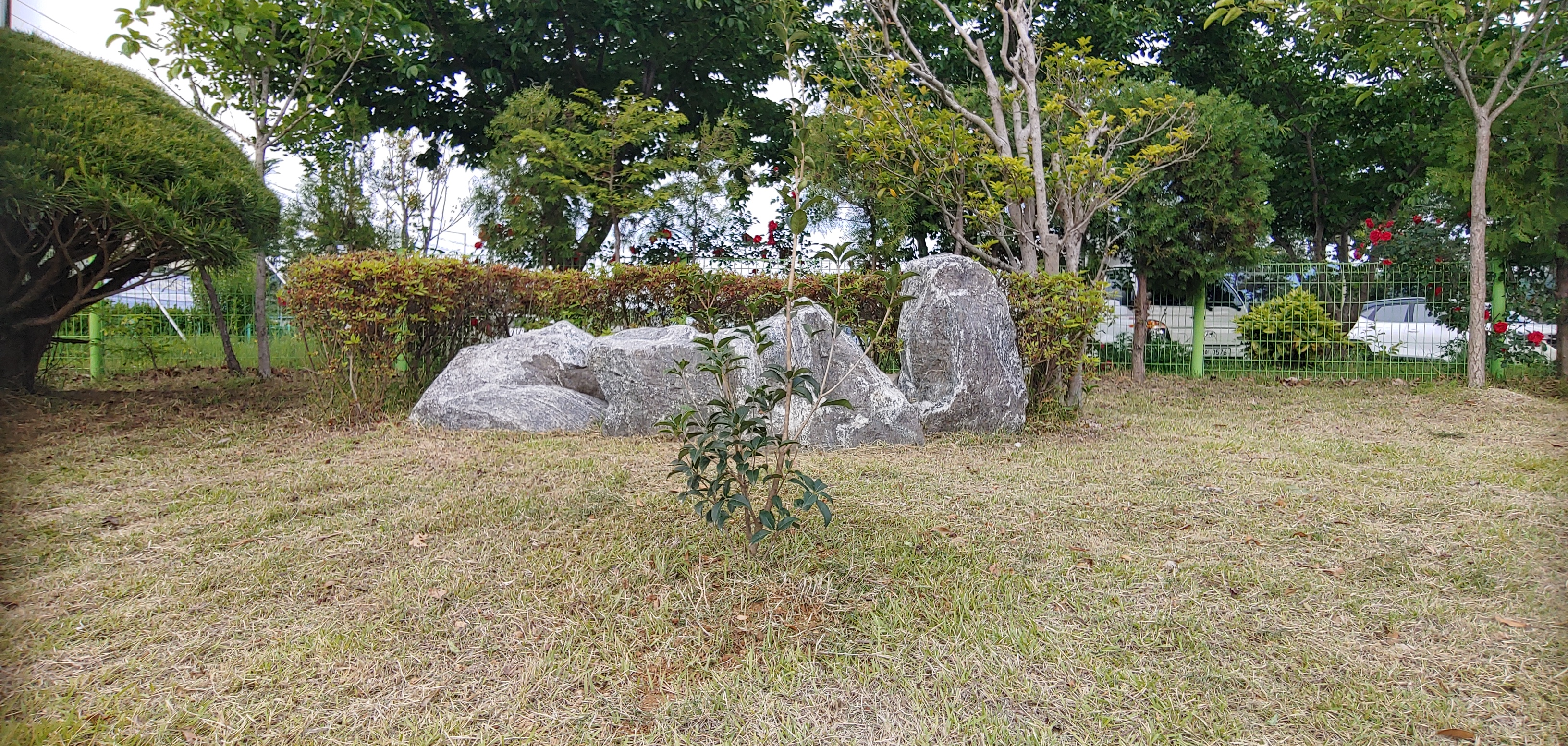 img.jpg