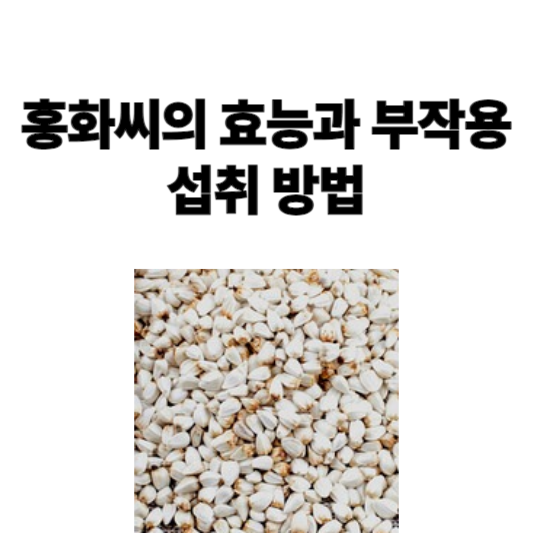 홍화씨의 효능과 부작용 및 섭취 방법