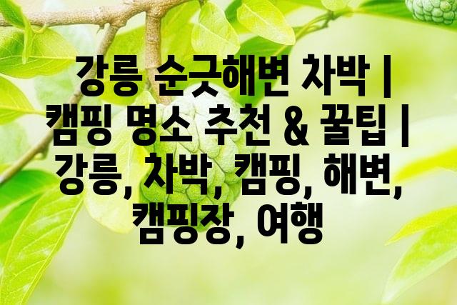 랜덤225