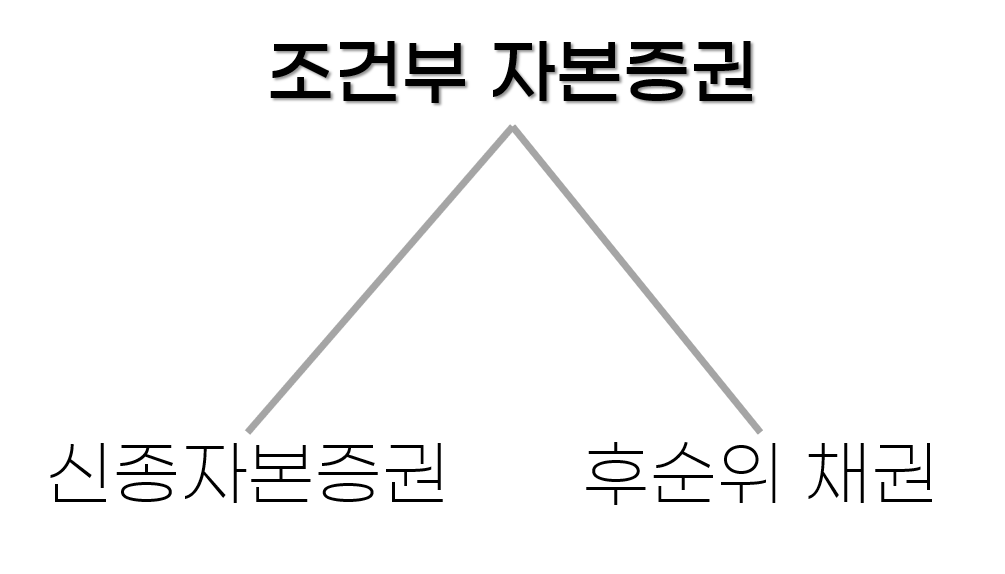 조건부-자본증권의-종류