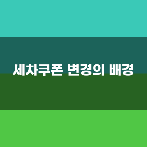 마이카서비스 이미지