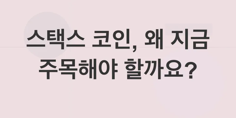 스택스코인 투자 전망_1