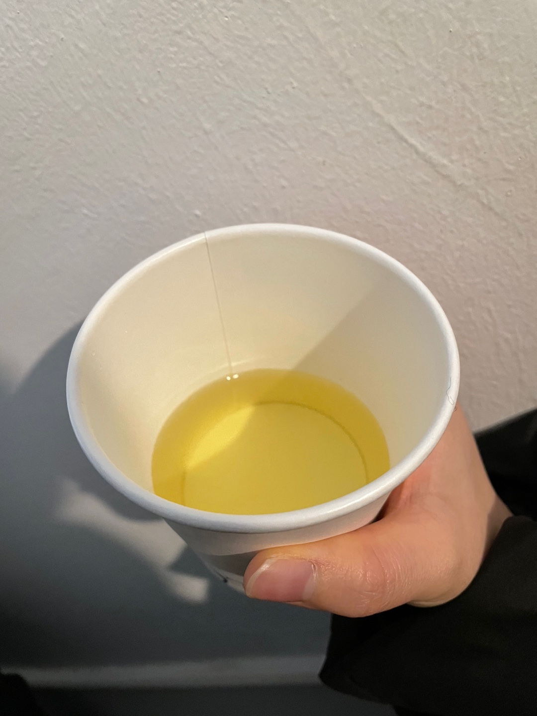 프로토콜(protokoll) 이미지