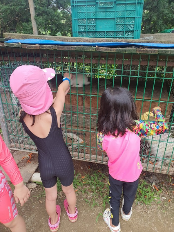 용인한터팜오토캠핑장-동물먹이주기