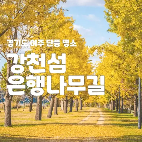 여주-강천섬유원지