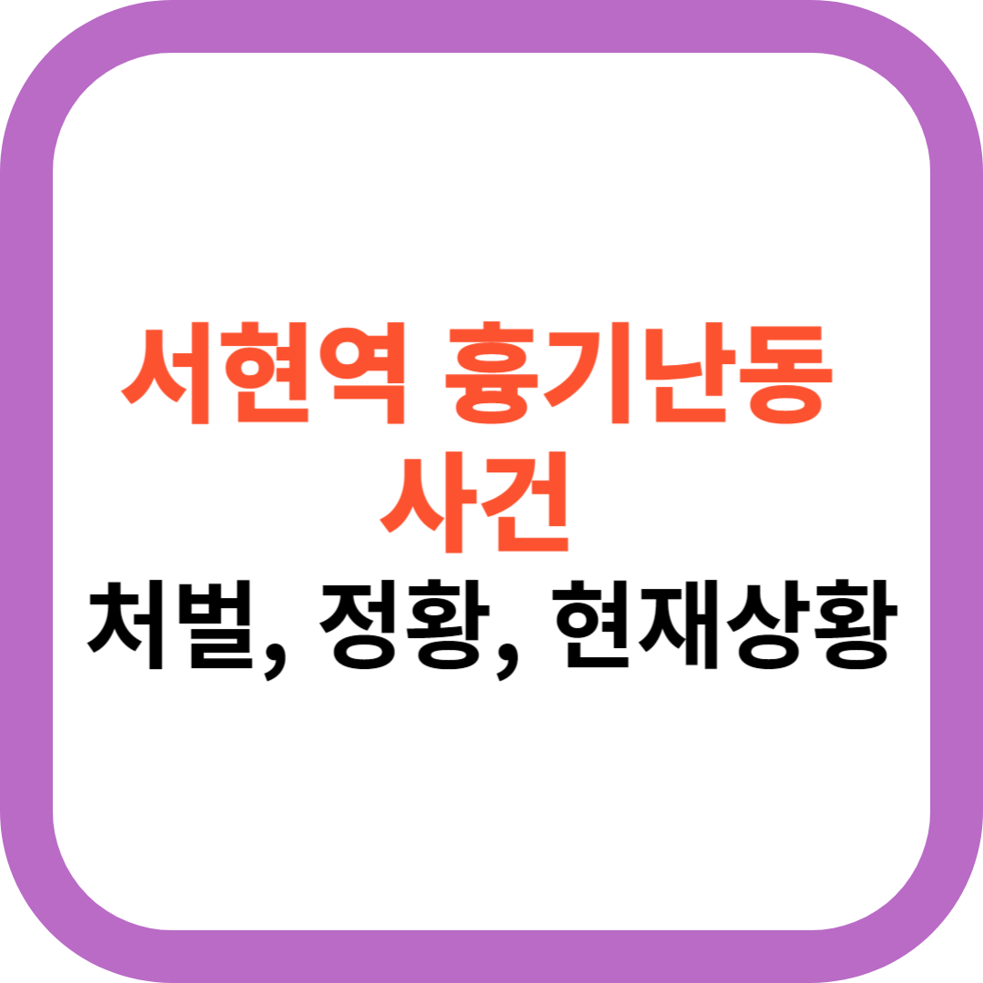  서현역 흉기난동 처벌 서현역 흉기난동 CCTV