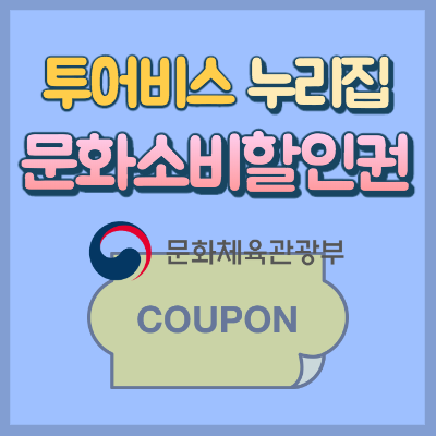 문화소비할인권 분야별 혜택 사용처와 신청방법(feat.문화체육관광부)