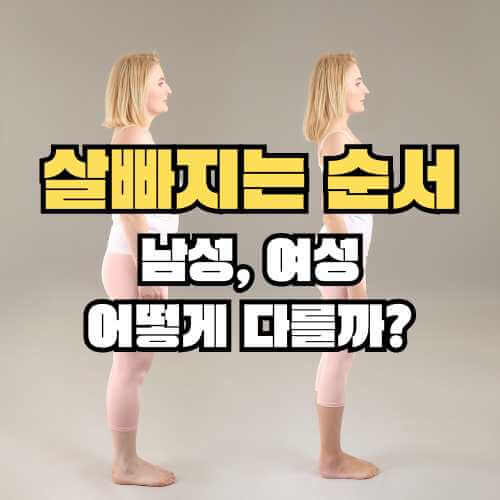살빠지는 순서