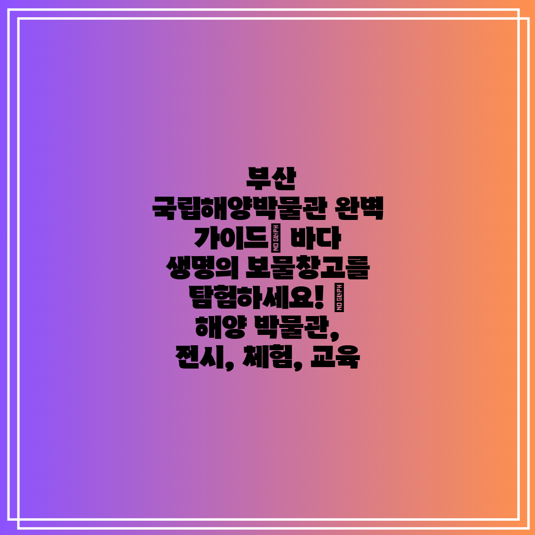  부산 국립해양박물관 완벽 가이드 바다 생명의 보물창고