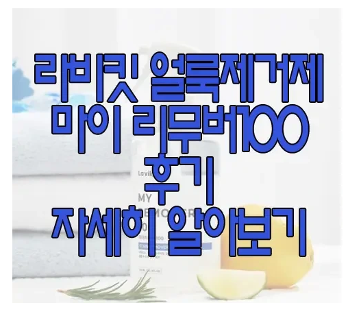 라비킷 얼룩제거제에 관한 글 보러 가기 링크 사진