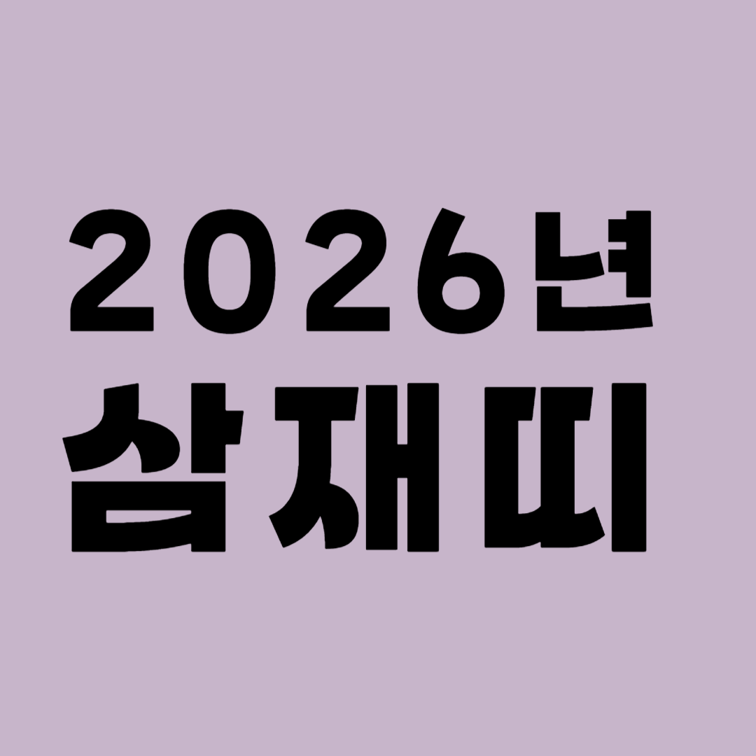 2026년 삼재띠