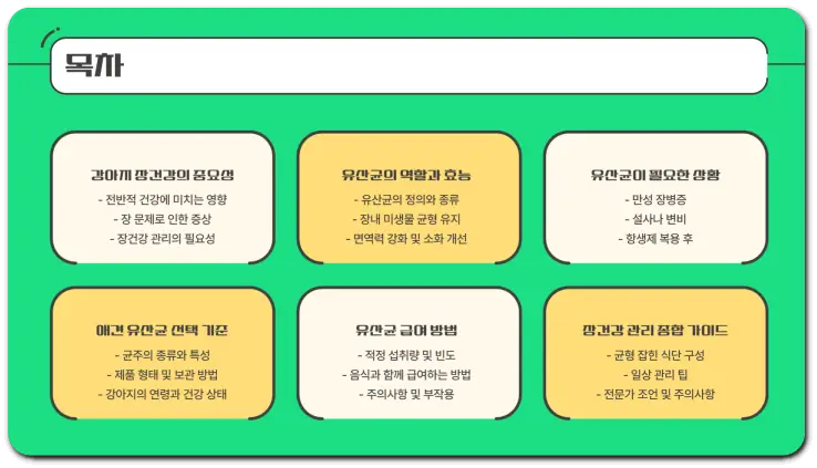 애견 유산균 추천