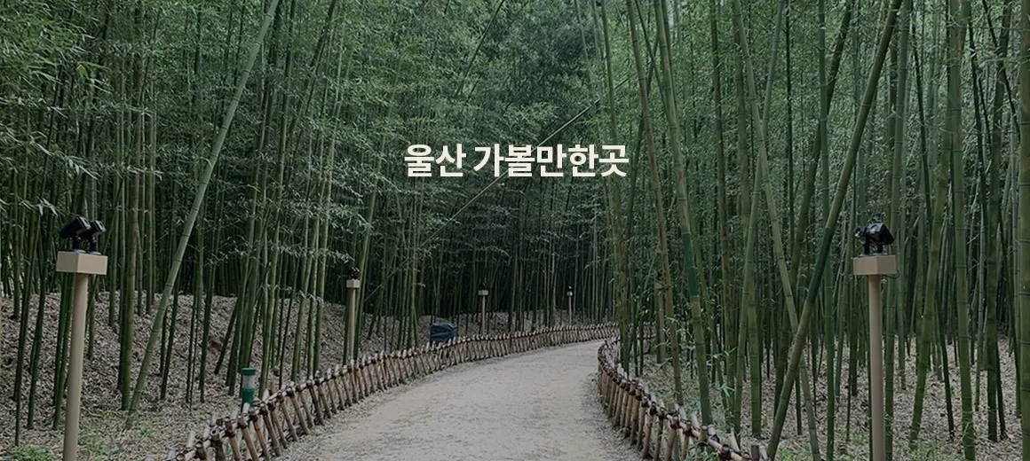 울산 가볼만한곳 베스트10 현지인 추천 필수코스_2