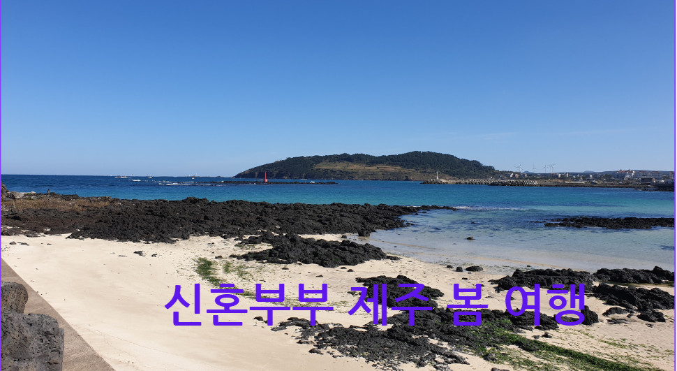 신혼부부 제주 봄여행