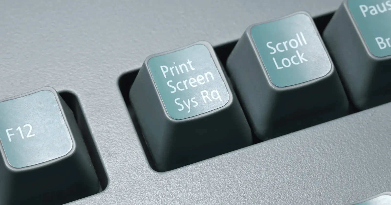 특정 창만 캡처