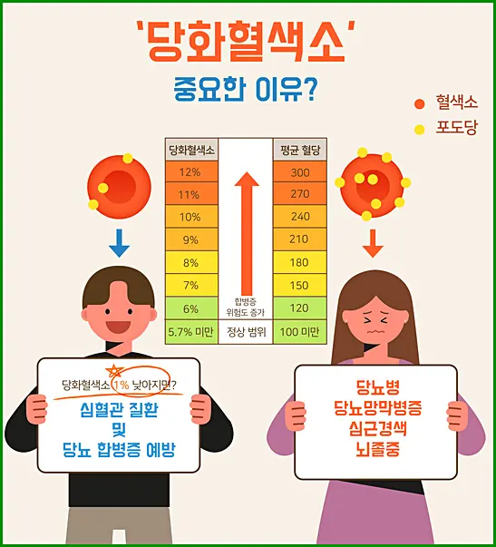 당화혈색소 수치표
