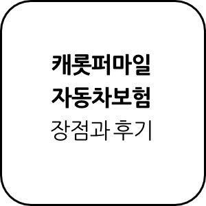 캐롯퍼마일 자동차보험 가입 장점과 후기