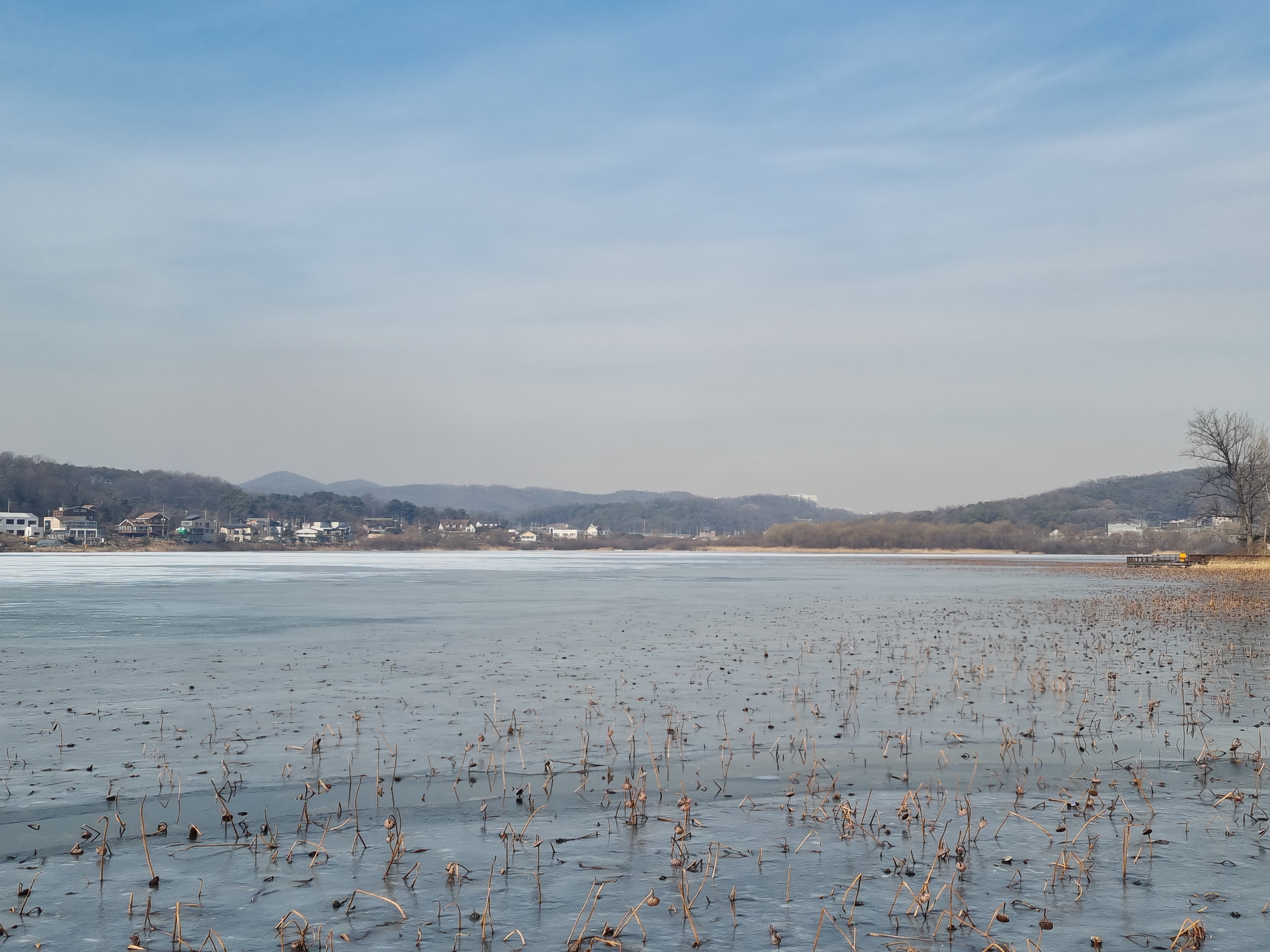  쓸쓸한 겨울 저수지의 낭만