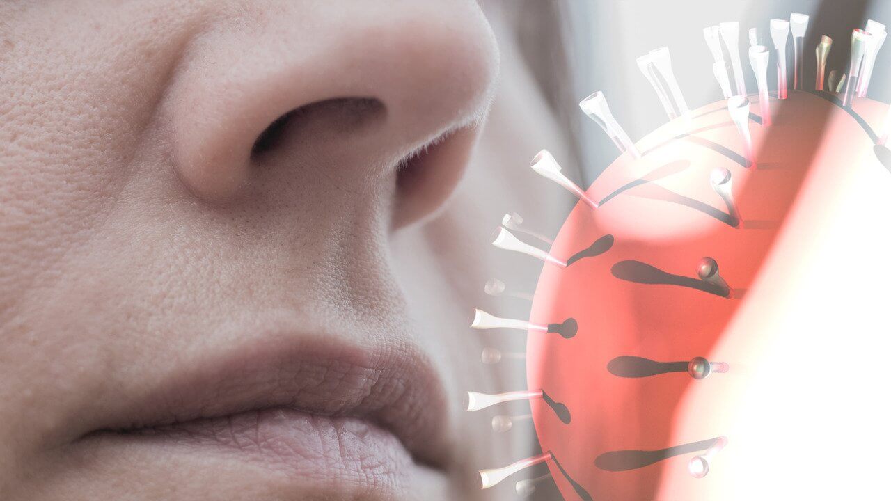  코로나19 중증 환자, 조기 발견 방법 연구 COVID-19 Severity Can Be Determined By Early Antiviral Response In Nose, Study Reveals