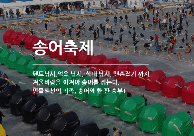 평창송어축제